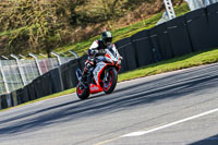 Oulton-Park-20th-March-2020;PJ-Motorsport-Photography-2020;anglesey;brands-hatch;cadwell-park;croft;donington-park;enduro-digital-images;event-digital-images;eventdigitalimages;mallory;no-limits;oulton-park;peter-wileman-photography;racing-digital-images;silverstone;snetterton;trackday-digital-images;trackday-photos;vmcc-banbury-run;welsh-2-day-enduro